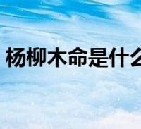 山下火命|八字纳音五行解析——山下火